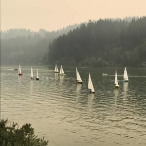 Meet your Posher, Joann